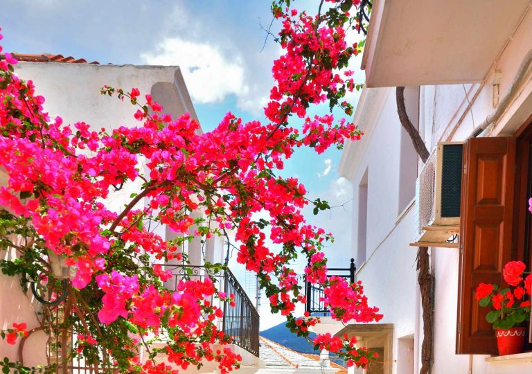 Buy your dream property in Skopelos