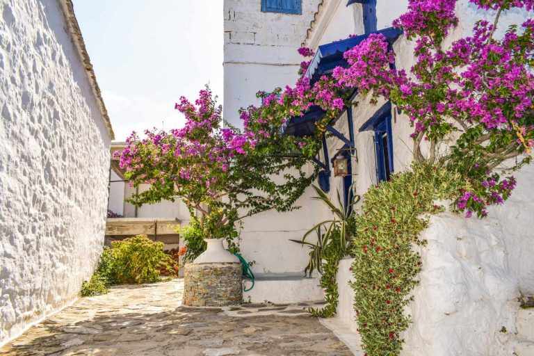 Buying a property in Skopelos