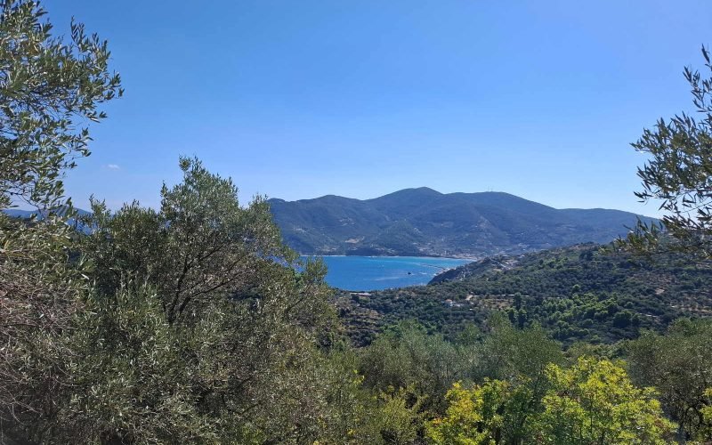 Cottage to renovate with beautiful views