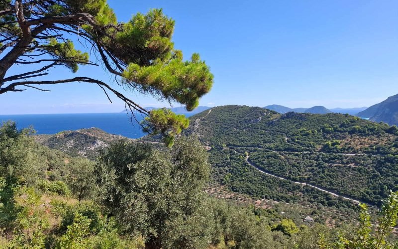 Cottage to renovate with beautiful views