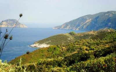 Kalogeros Skopelos Kalogeros Skopelos