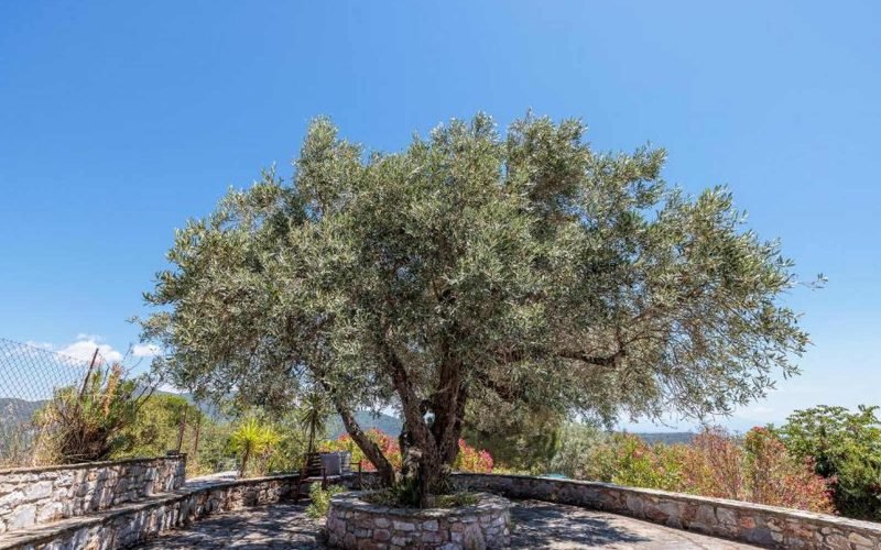 Luxurious Villa with Breathtaking views to the Sporades Islands
