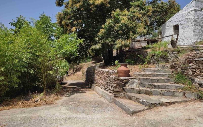 Complex of cottages in the countryside of Pyrgos area