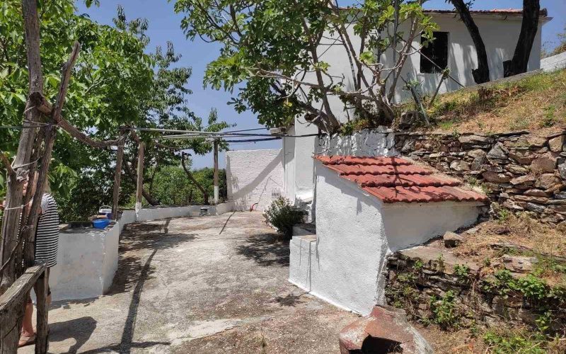 Complex of cottages in the countryside of Pyrgos area