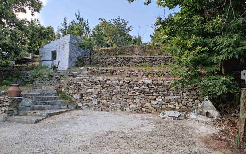 Complex of cottages in the countryside of Pyrgos area