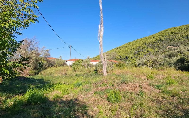Buidable plot in walking distance to Panormos beach