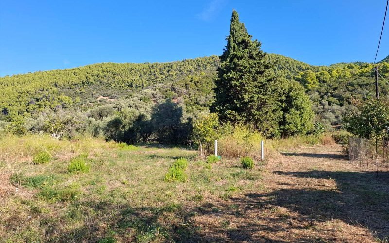Buidable plot in walking distance to Panormos beach