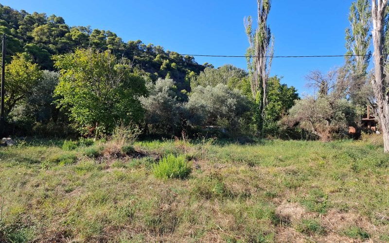 Buidable plot in walking distance to Panormos beach