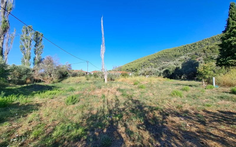 Buidable plot in walking distance to Panormos beach