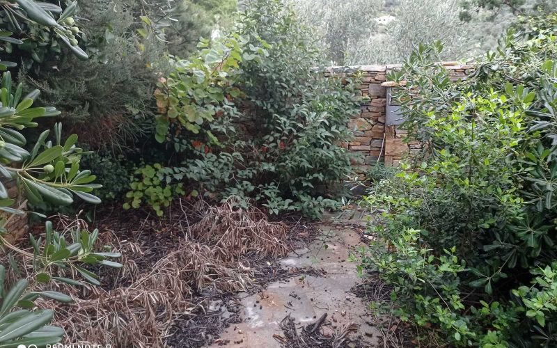 Unfinished villas with pools and views to Skopelos bay