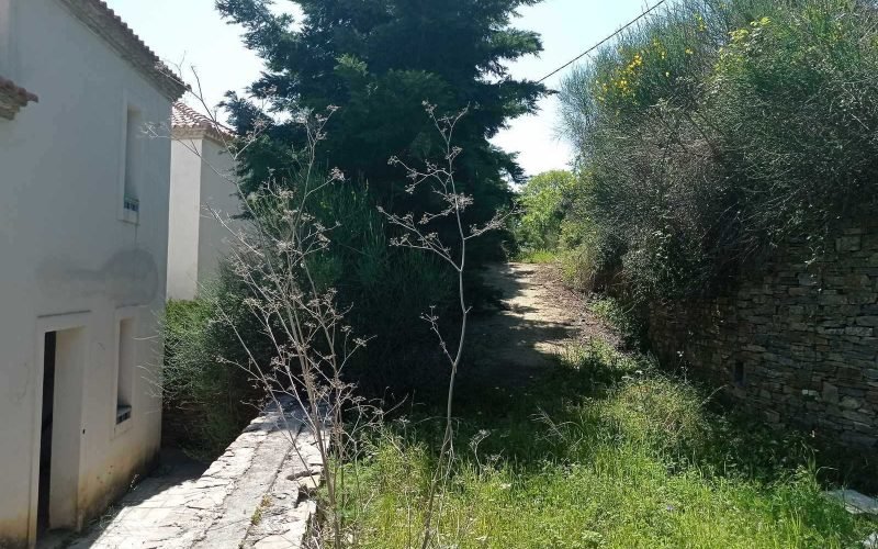Unfinished villas with pools and views to Skopelos bay