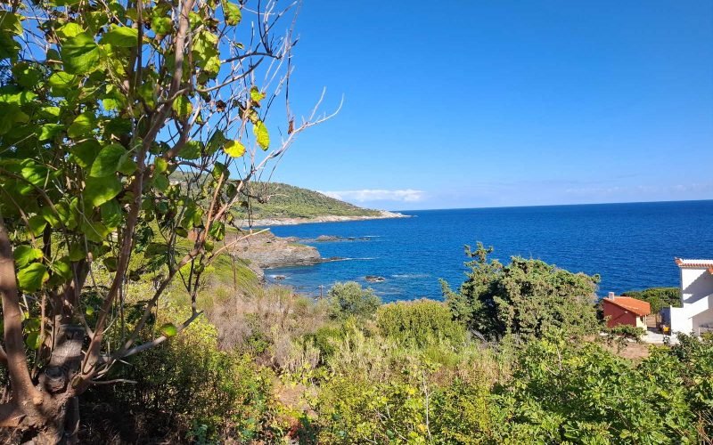 Skopelos Beachfront property to renovate