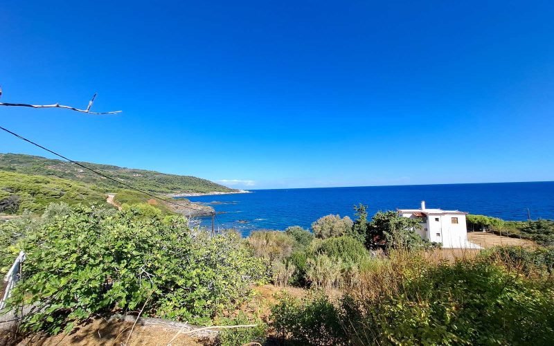 Skopelos Beachfront property to renovate