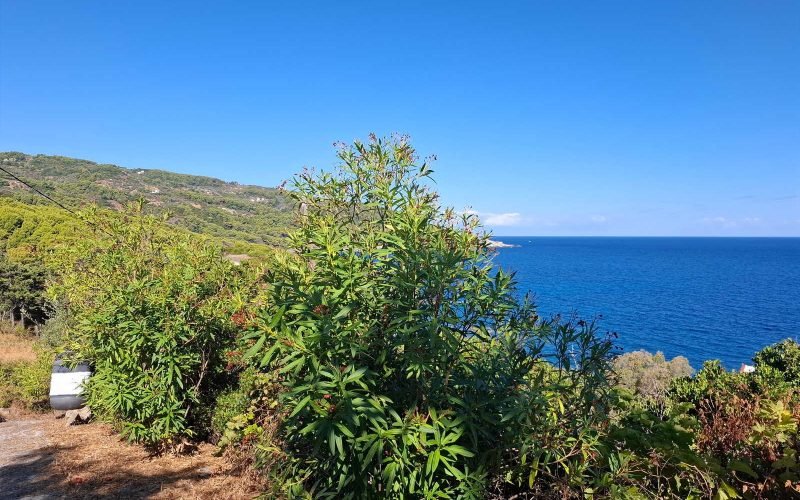 Skopelos Beachfront property to renovate