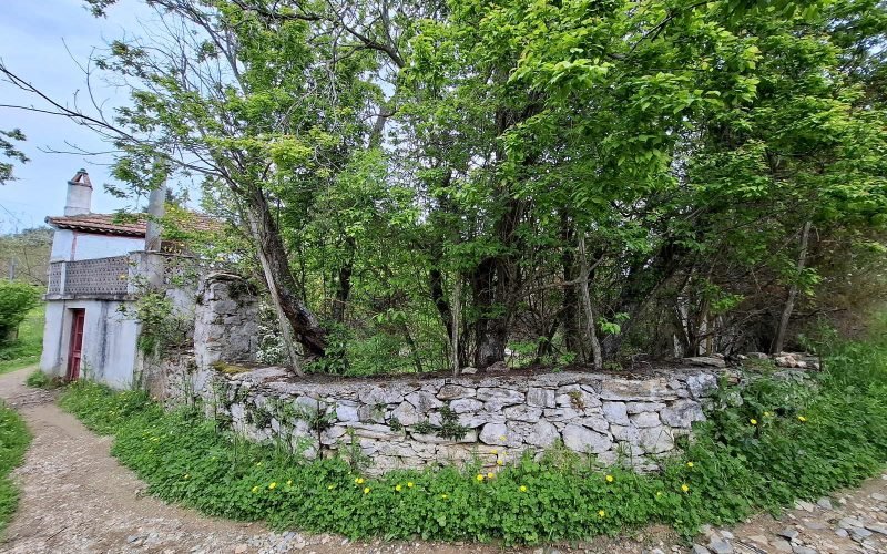 Traditional cottage to renovate