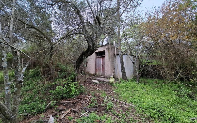 Traditional cottage to renovate