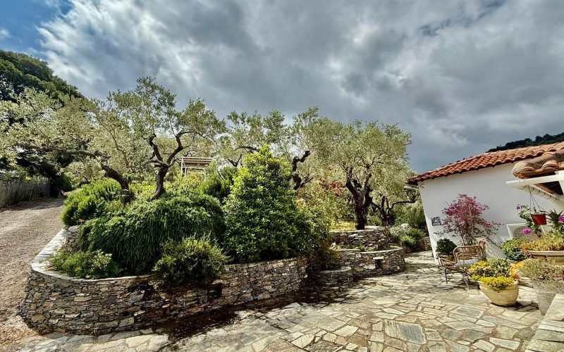 Villa Athina with spectacular views to Skopelos Town Bay