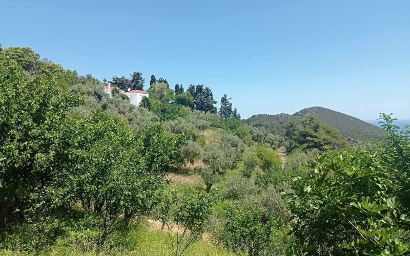 Land in Raches area with best views to the Aegean Sea
