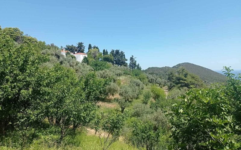 Land in Raches area with best views to the Aegean Sea