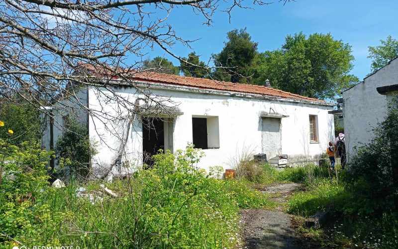 Big land with cottages to renovate close to Panormos beach