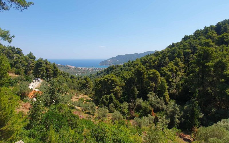 Property to finish in Pefkias area with views