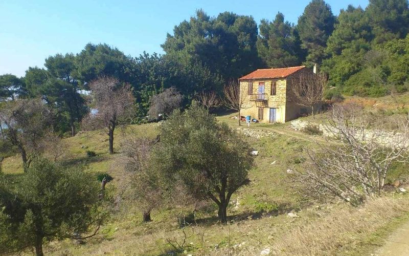 Two cottages for renovation in a spacious land with access to the Sea