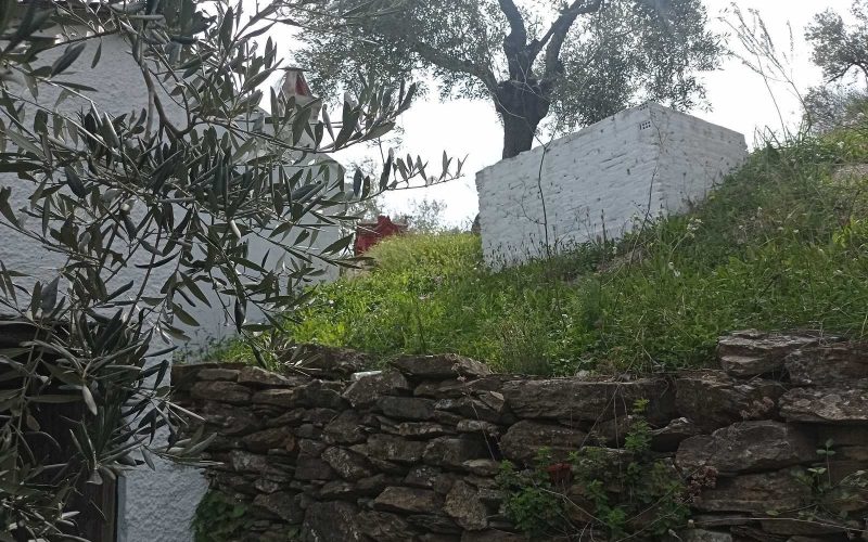 Traditional cottage with spacious land in Ananias area