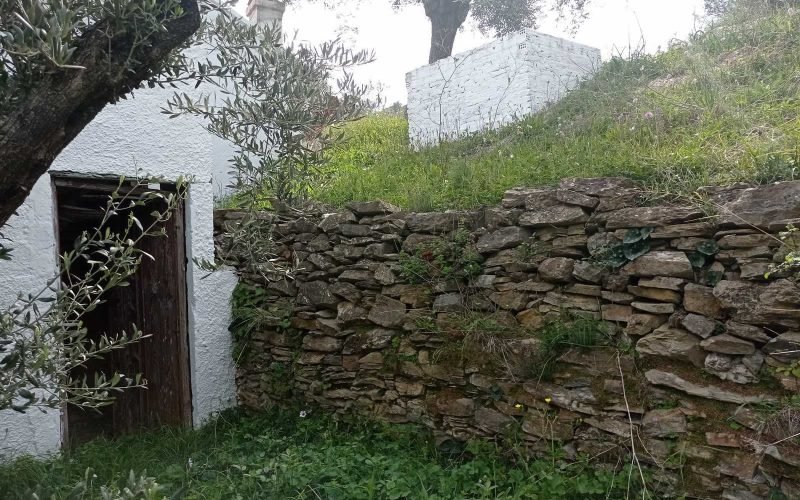 Traditional cottage with spacious land in Ananias area