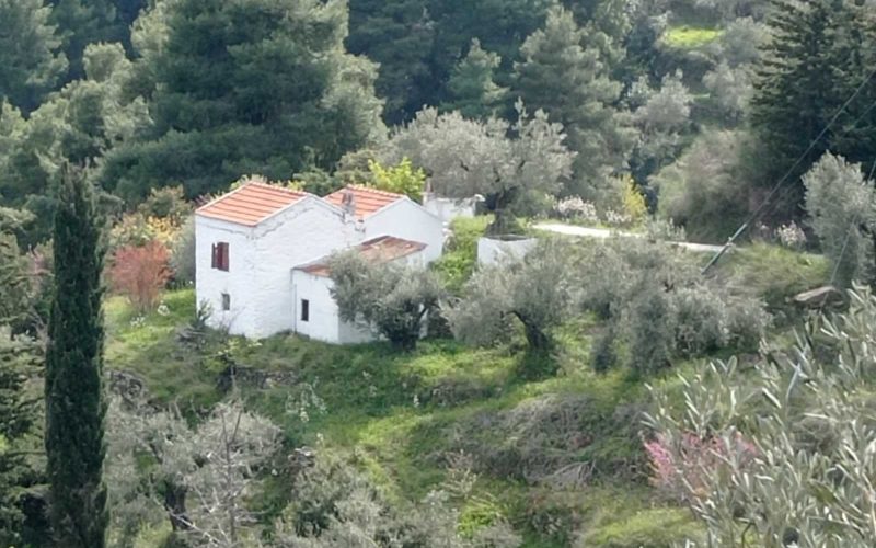 Traditional cottage with spacious land in Ananias area
