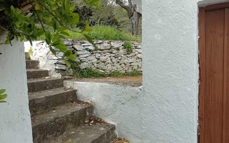 Traditional cottage with spacious land in Ananias area