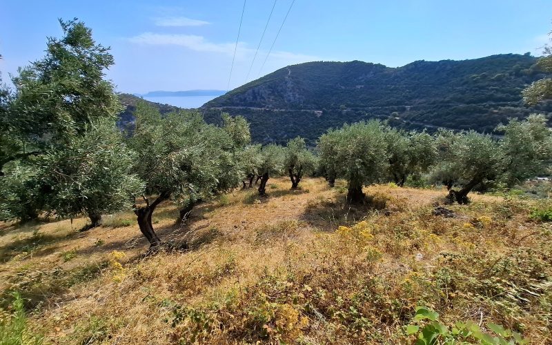 Stunning land overlooking Glysteri bay