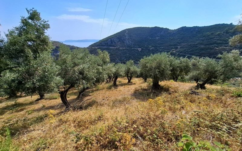 Stunning land overlooking Glysteri bay