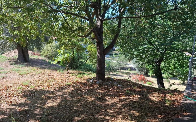 Cottage in N. Klima walking distance to the beach