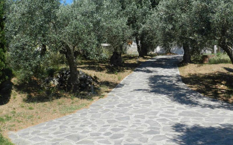 Architect designed Villa in the countryside of Skopelos Island Driveway