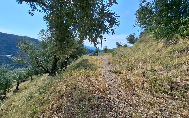 Stunning land overlooking Glysteri bay