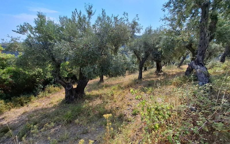 Stunning land overlooking Glysteri bay