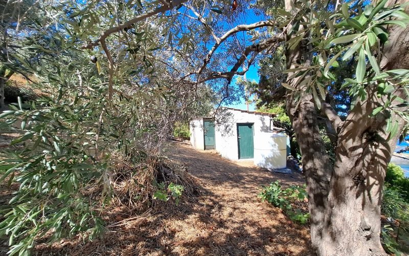 Beautiful Beachfront Property