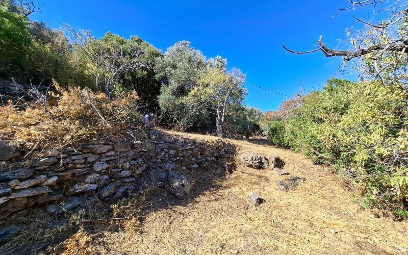 Beautiful Beachfront Property