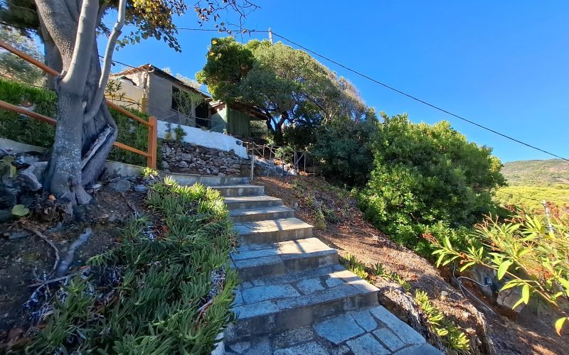 Beautiful Beachfront Property