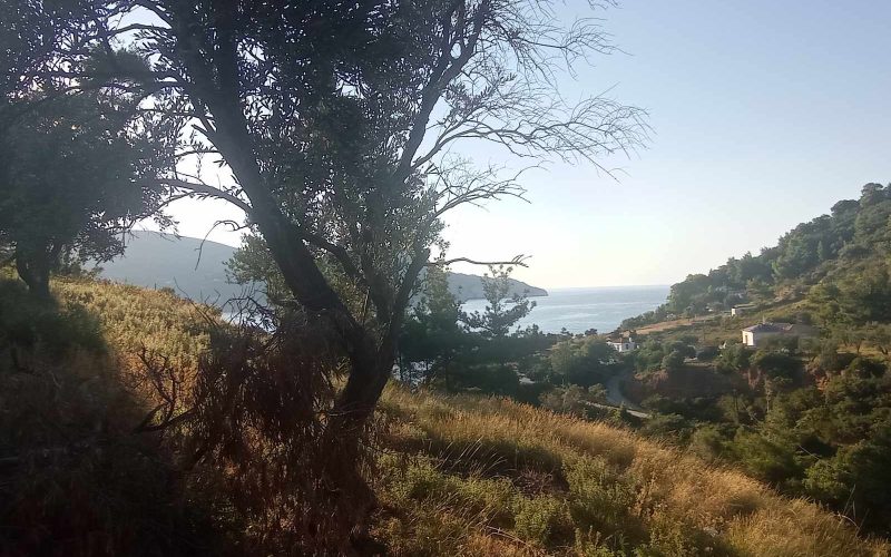Buildable plot opposite Skopelos port with Sea views