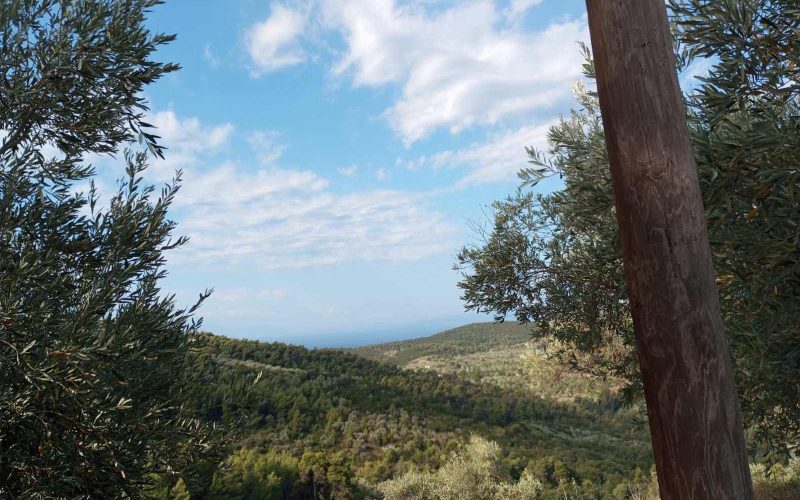 Traditional cottage in Pefkias with land