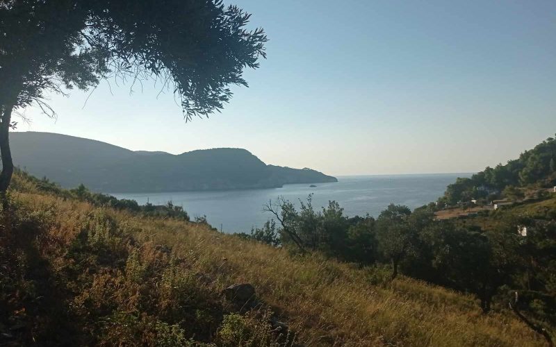 Buildable plot opposite Skopelos port with Sea views