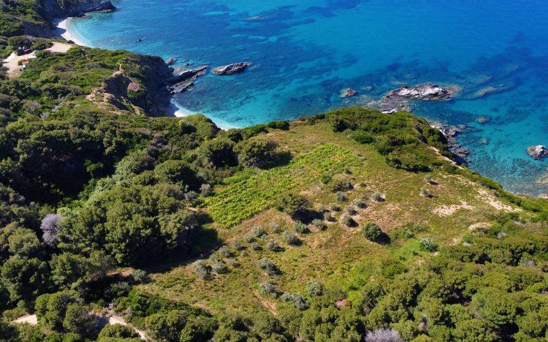Unique land with access to two beaches on Skopelos Island, Greece