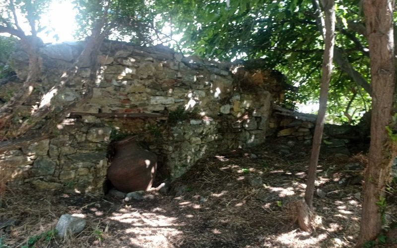Private property with studio and spacious garden