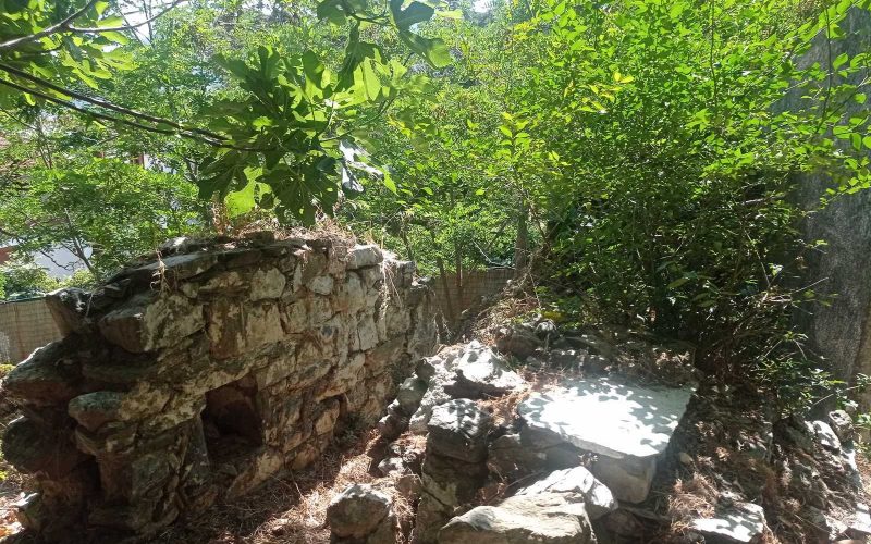 Private property with studio and spacious garden
