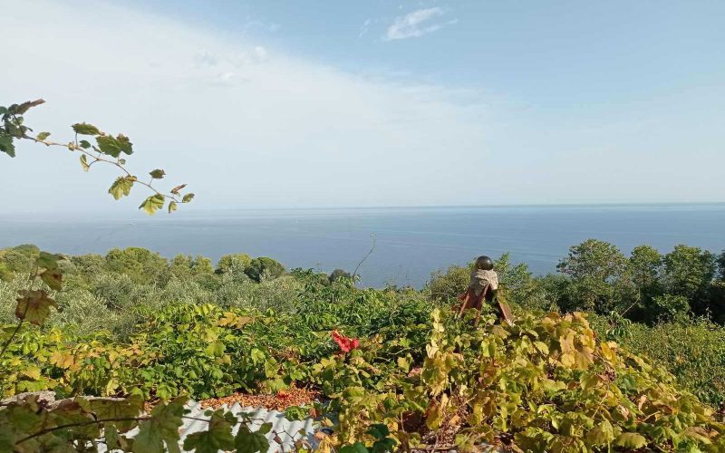 Spacious Traditional cottage in Kalogeros area to renovate