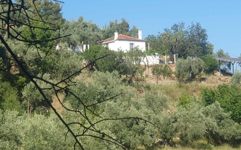 Traditional cottage with spacious land and views