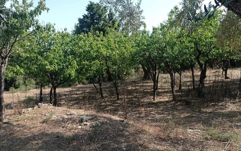 Spacious Traditional cottage in Kalogeros area to renovate