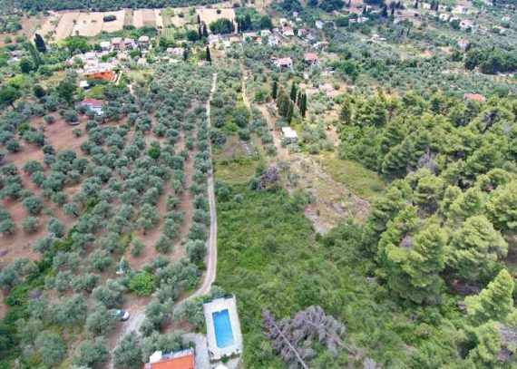 Buildable land in Stafilos area close to the beach