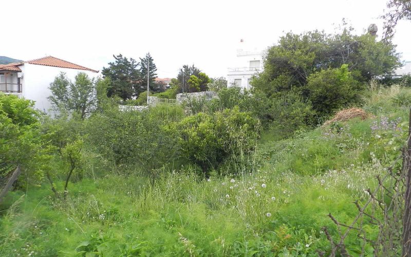 Four plots for sale inside Skopelos Town